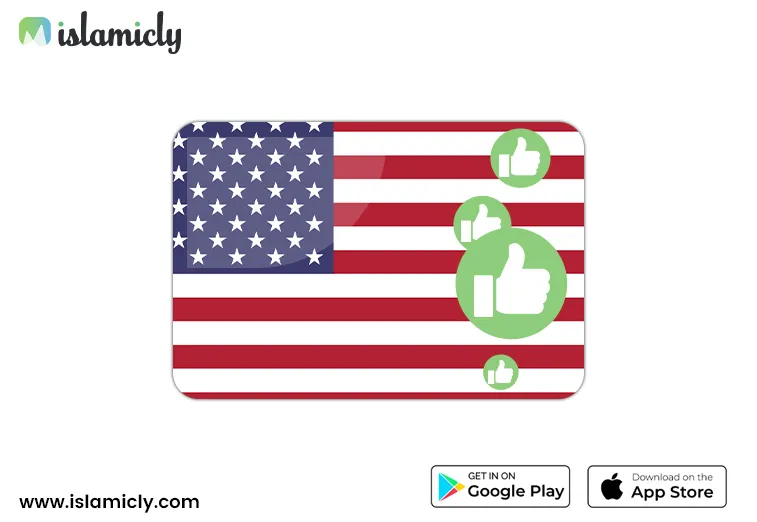 USA Flag